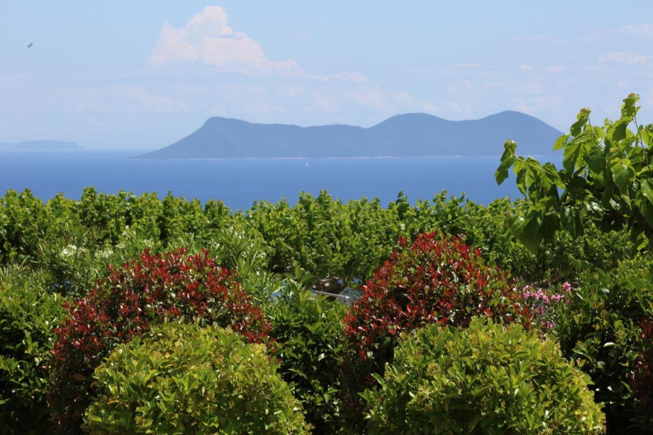 Pantheon & Danae Luxury Villas Syvota Exterior foto